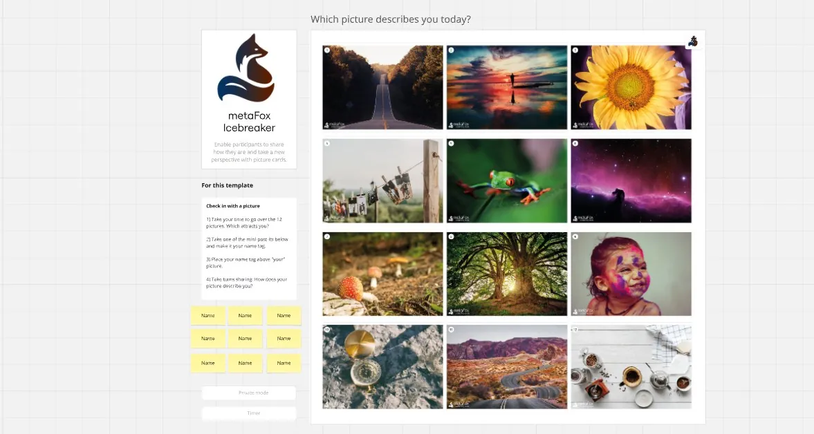 The metaFox.online coaching platform in a session